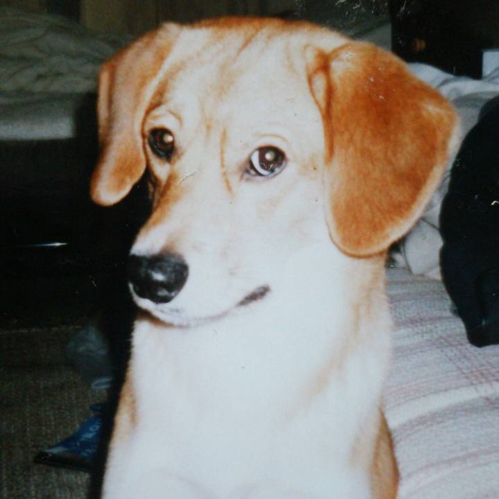 45156e76 90fb 47fe 8d94 1159b7f6486a