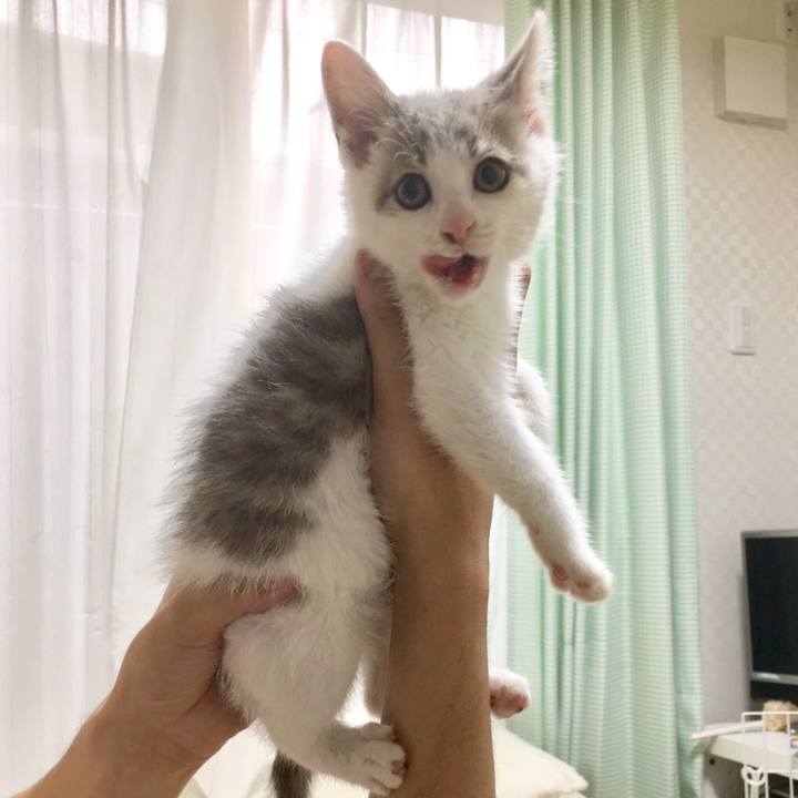 4515da96 1791 445c 8ef6 ddfd377b0691