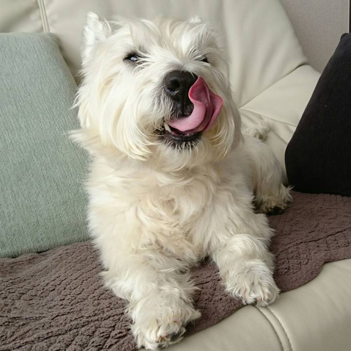 4516d77a b9c8 4886 822e b4da2b7dc50b