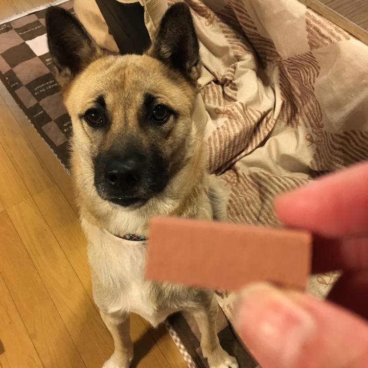 4516dacf 1562 444e 8607 86fa134f137b