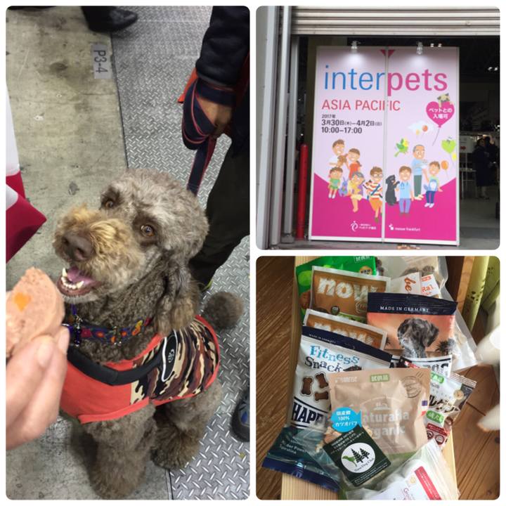 45178176 d779 4e31 9bcc bfa213f82f91