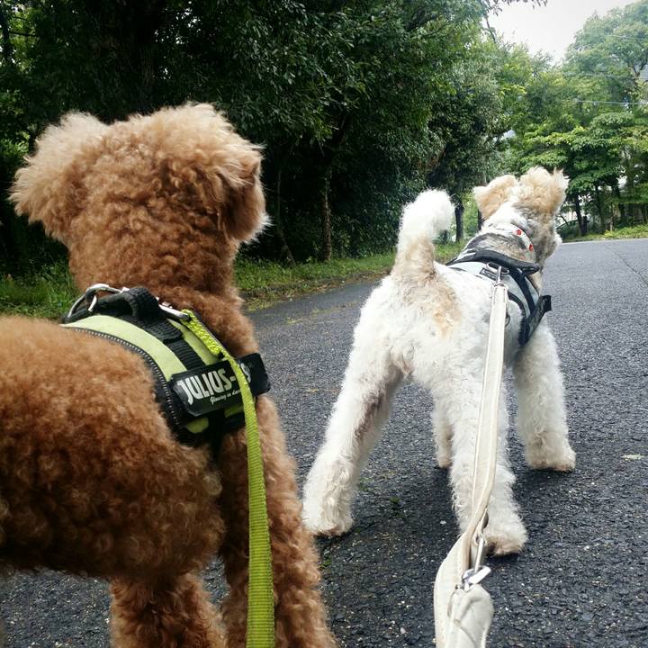 45179295 6389 4be7 aee3 fe039af05fd3