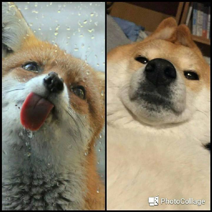 4517c106 2f2b 4e7e abf6 4d7c269f09f7