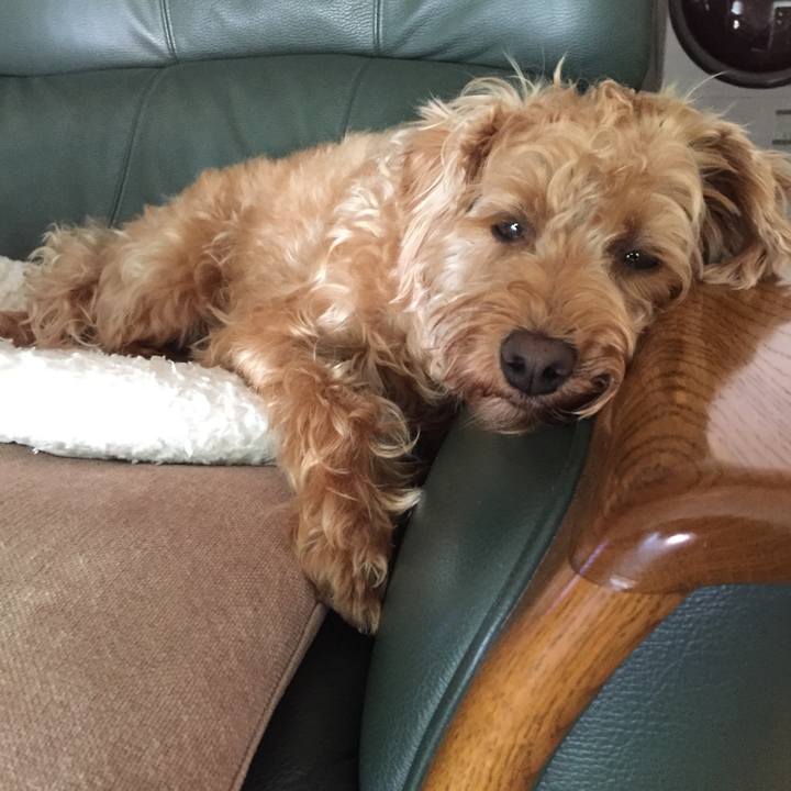 451867f0 e07d 46c3 8b57 99f8c4b34129