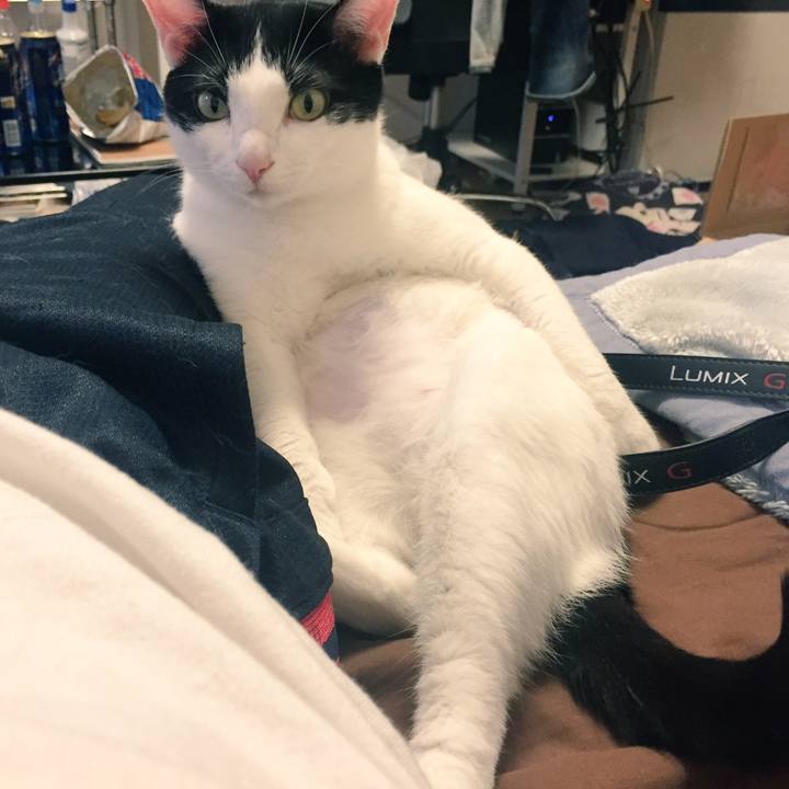 4518fc97 abc3 40c3 a997 a4f4a6616188