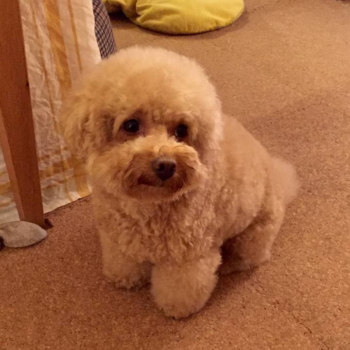 451926bb 7756 4b8d b8c5 1754c93885b6