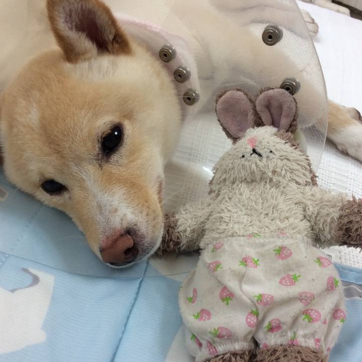 45193411 8e4b 4db3 a48e eab83b760f16