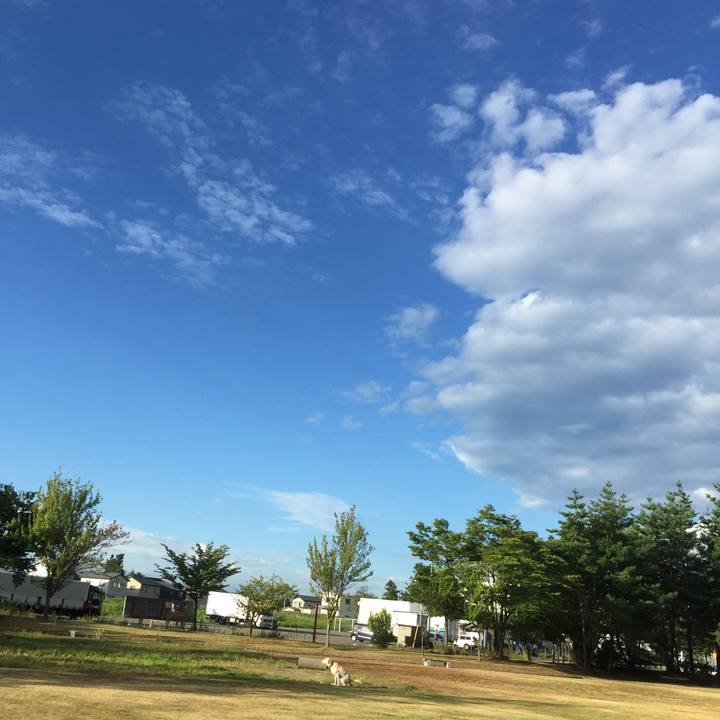 4519ee11 de33 483f b023 9dbc5eefb58a