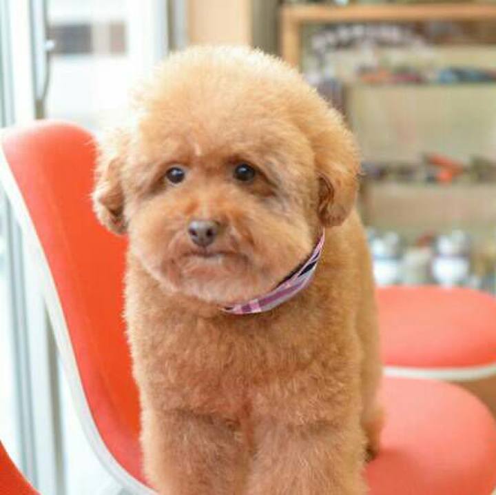 451ade40 7155 49e1 a32c 8a25fd7900bf