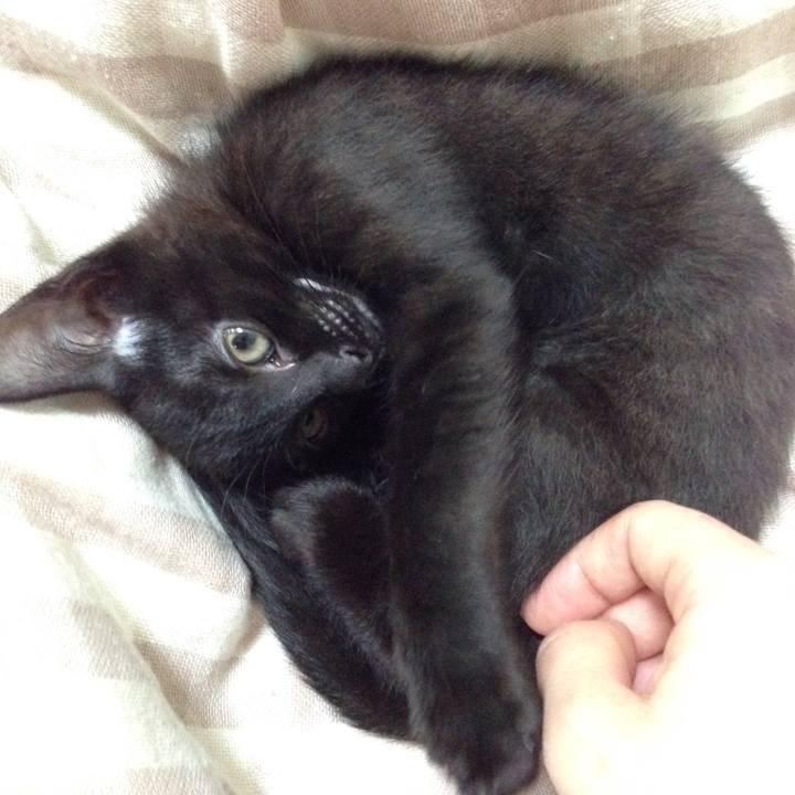 451b8684 922b 4cb3 9f3a fa9416181055