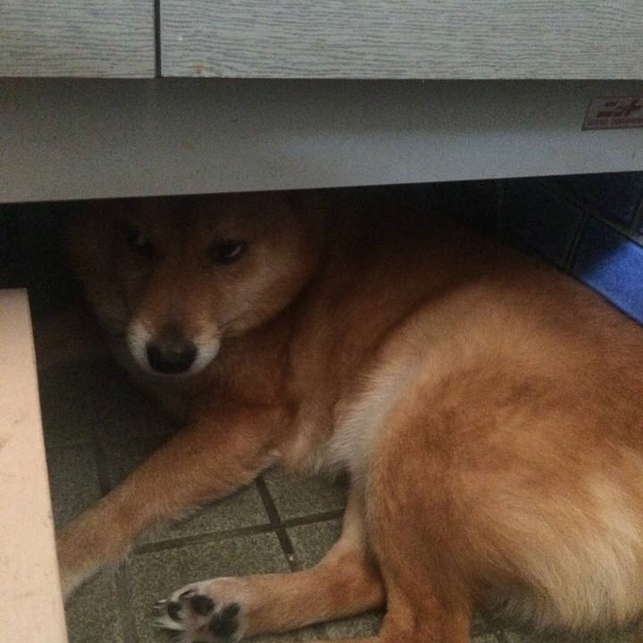 451b88c1 1020 4f2a 8680 6981329535e5