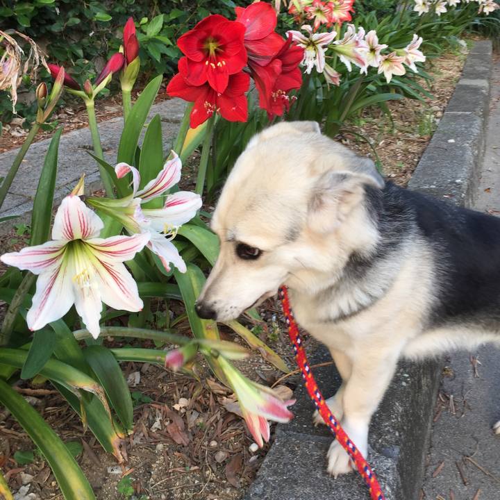 451bca5e a76d 43c3 a59b 31f53dcb4298