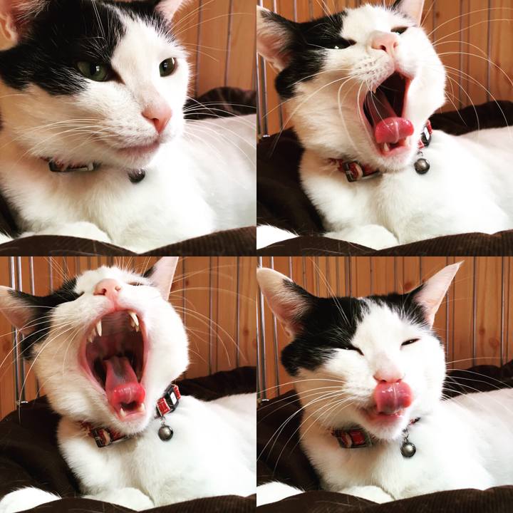 451d6fba 3ccf 4836 b117 5abf76696b5b