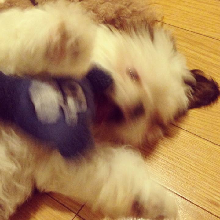 451da879 0998 4b9e 9175 db7af2abebcb