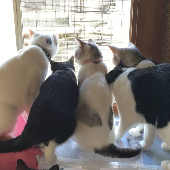 451e0593 ff97 437e ac0a 5b18d210f3cd