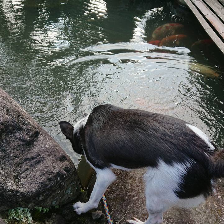 451ebc81 d1dc 43af b683 1708d71b96fc