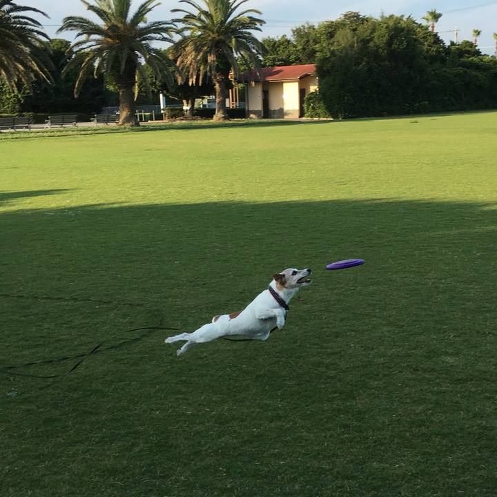 4520b5d8 e69d 441d a9a6 76fa896f5231