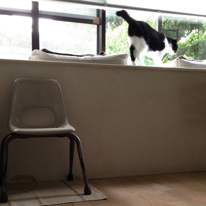 452145cd 8717 4ed2 99e9 655c3c2a1258