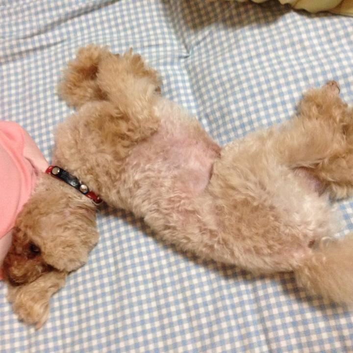 452195e5 6720 4ac9 b94a 343d793ead32