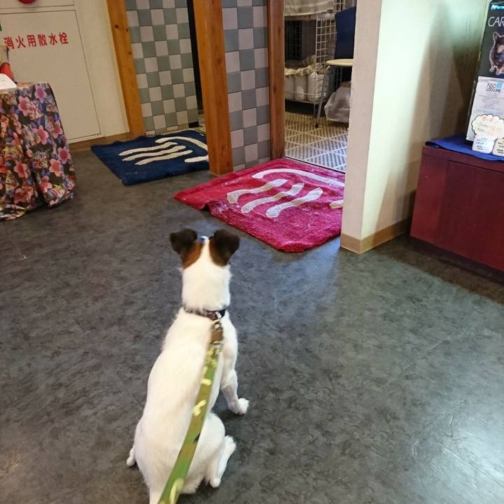 4521c8fd ceb4 4f25 8daa a59bc69cbf19