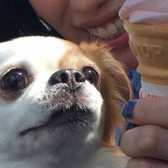 452216b6 8789 49c0 809b 15668016a829