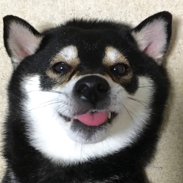 45225cec a77c 4d4a 9af3 21cf35b1eaf3