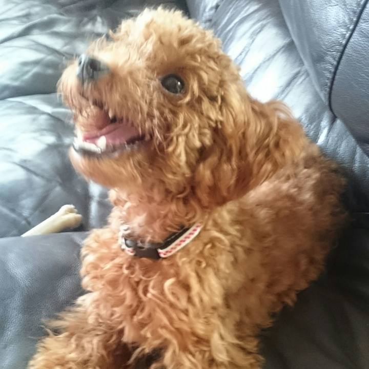 45226d8e 29b3 44f0 aa10 d7c173bff730