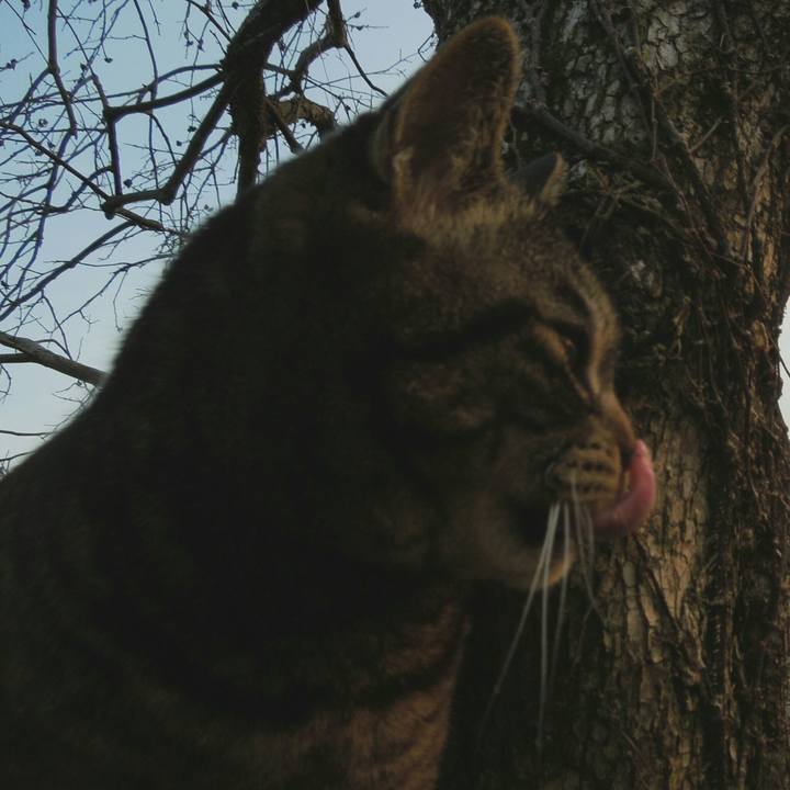 45228696 1459 4284 8707 c72d39c9f538