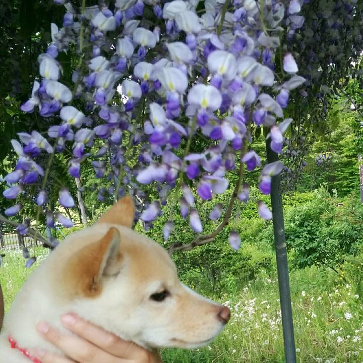 45238f1d 18fc 49a0 b956 97ff41b2bf14