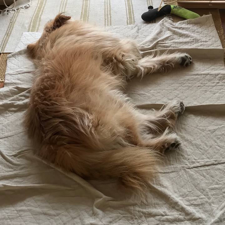 45239469 f2d7 4951 acea 4118a29d0a74