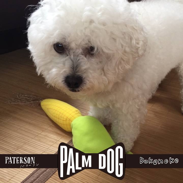 4523b176 9c31 4bf1 94a0 7a72a727ac64