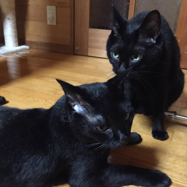 4523ef41 551d 49a5 862c 42283f7368d5