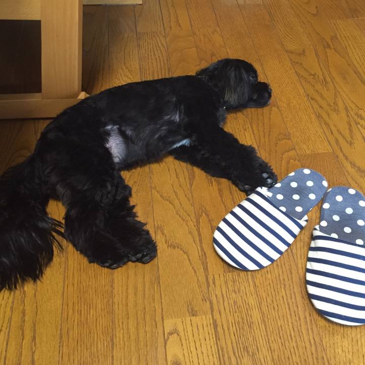 45244472 172b 4c57 bbca e5e63be24dae