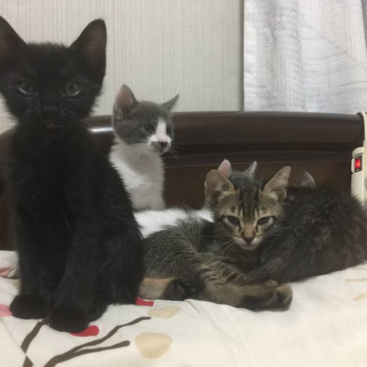 4524787d af00 4b8a af9d 785866329437