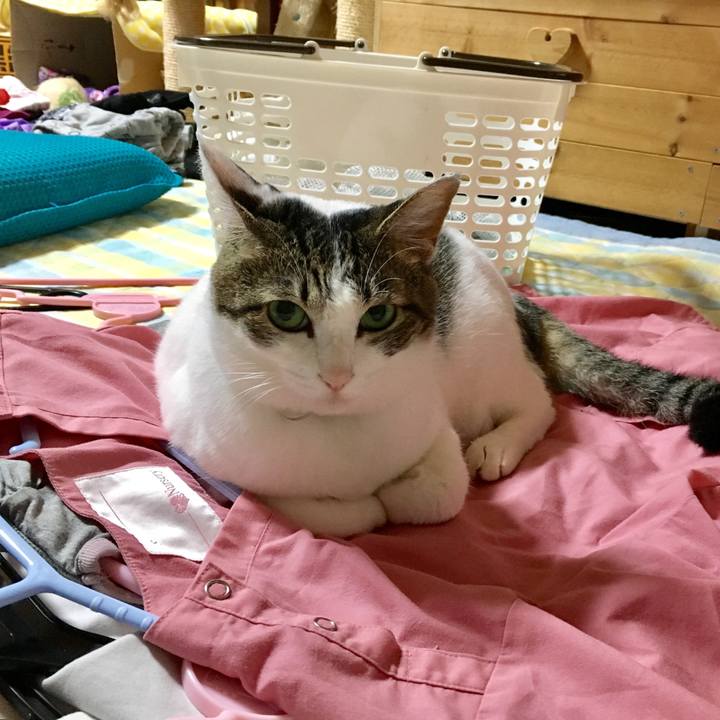 45250e39 983e 48df 8946 d648d6df0ed0