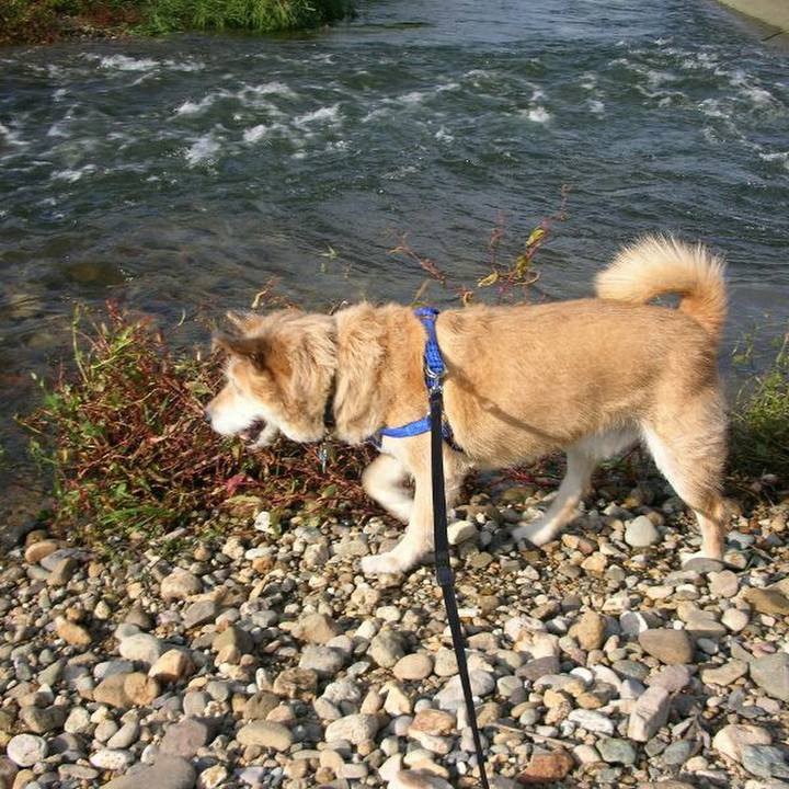 45257c77 5825 47b5 8b55 f6687a1ad0a1