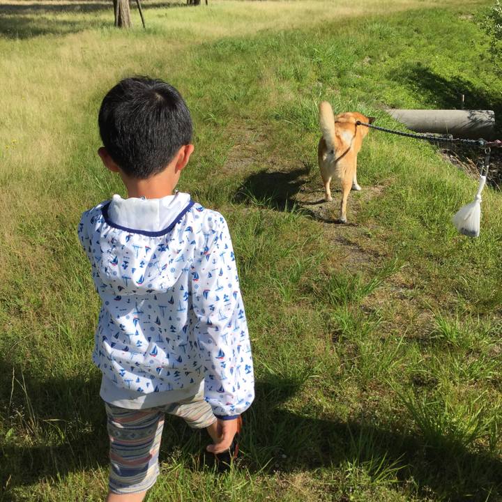 4526cdbd 176a 46df 9f22 c26d546ce742