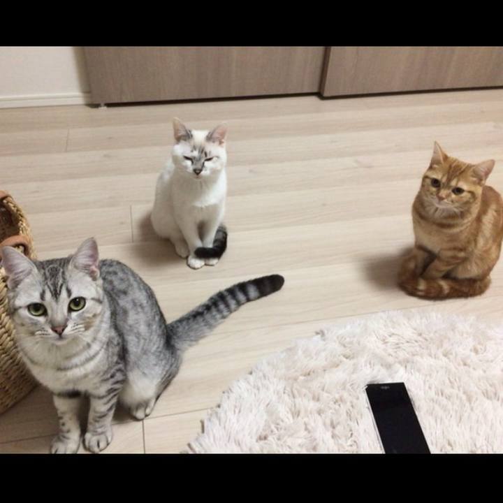 452790a1 31eb 4d8a 8ec2 27a85fe55647