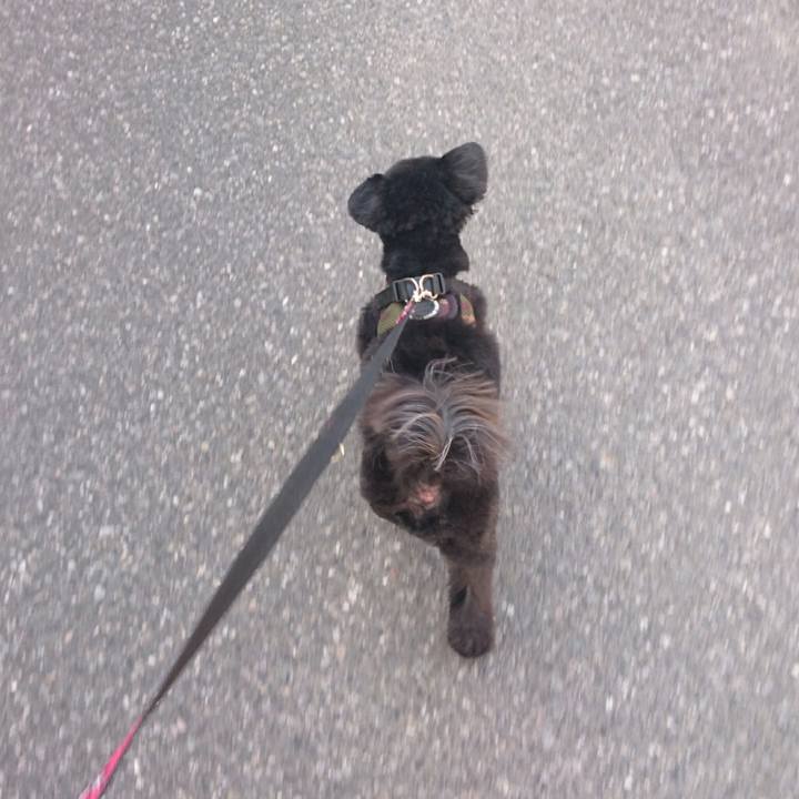 4527a416 1b68 4852 a7c5 d0348dce04c0