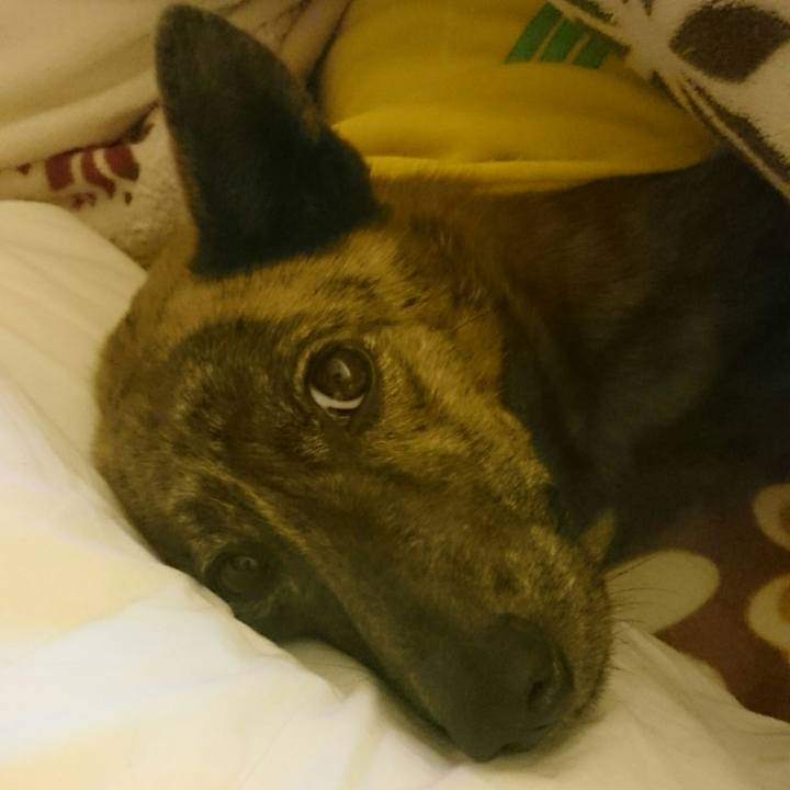 4528d557 265c 496f 9404 9ca518fdc520