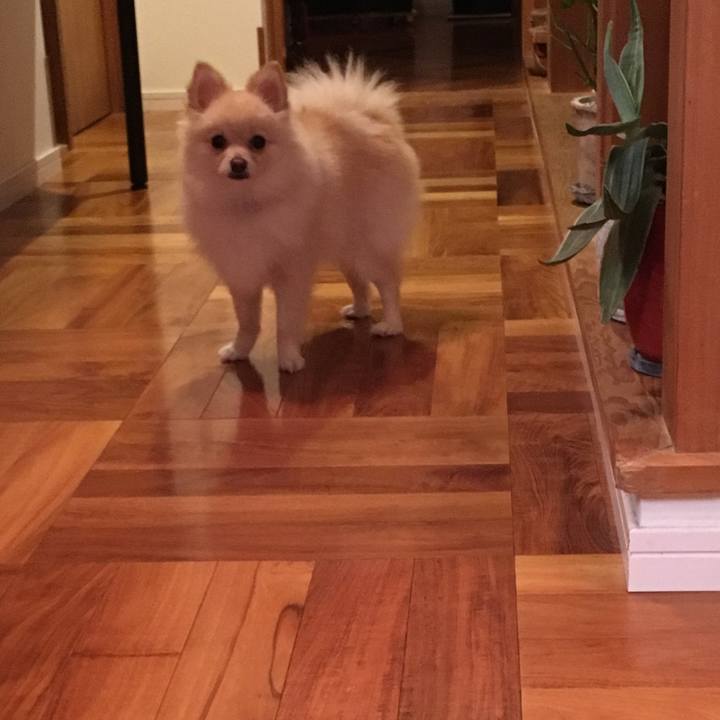 45292f9f 7472 45d8 9b9e c57b61518552