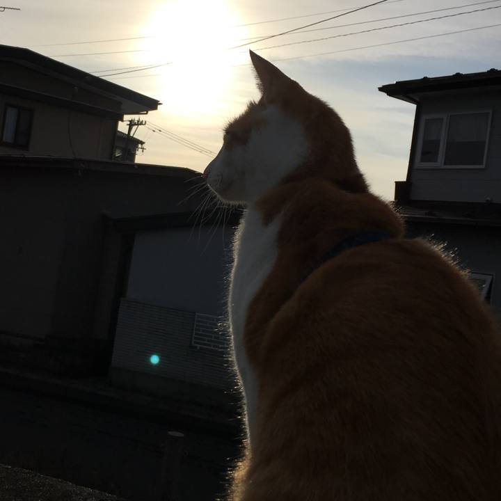 45298174 e9a8 49ea 801d aa6160aeb277