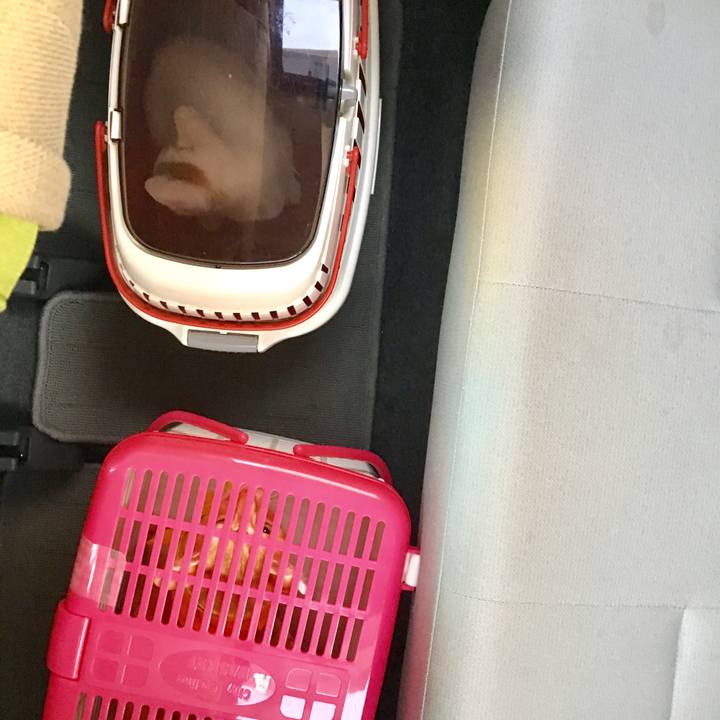 452984e4 109a 4da6 aa34 252943dd1f12