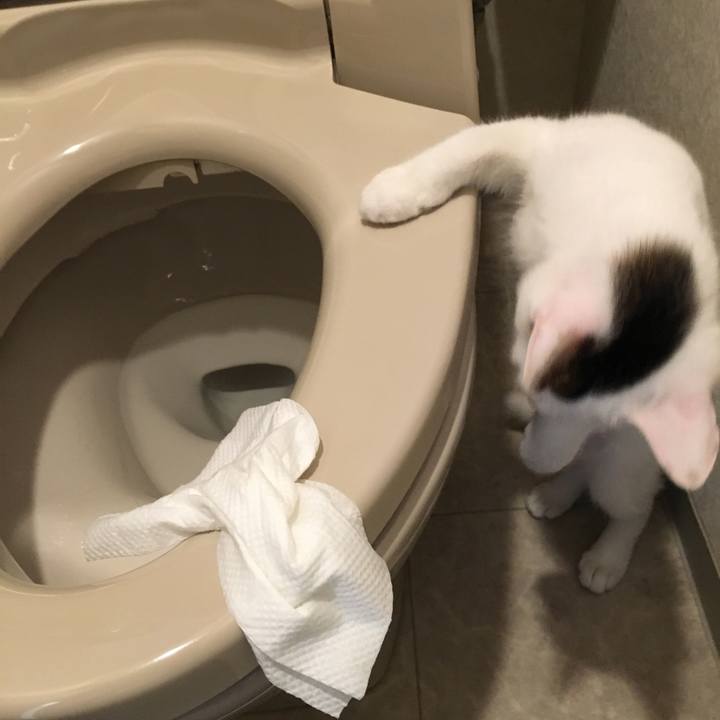 4529afef 21fd 4aa4 97b6 6476d2ac9419