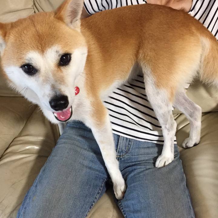 4529bbe8 ae89 45fc b8e6 5dd4b460ad68