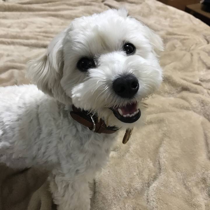 4529d4dc 0ab1 4d7a 98df 349cacc1c14e