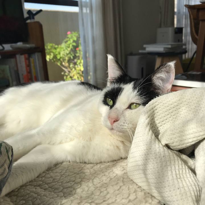 4529f290 37f7 4a44 b7c1 92ca4179a8b7