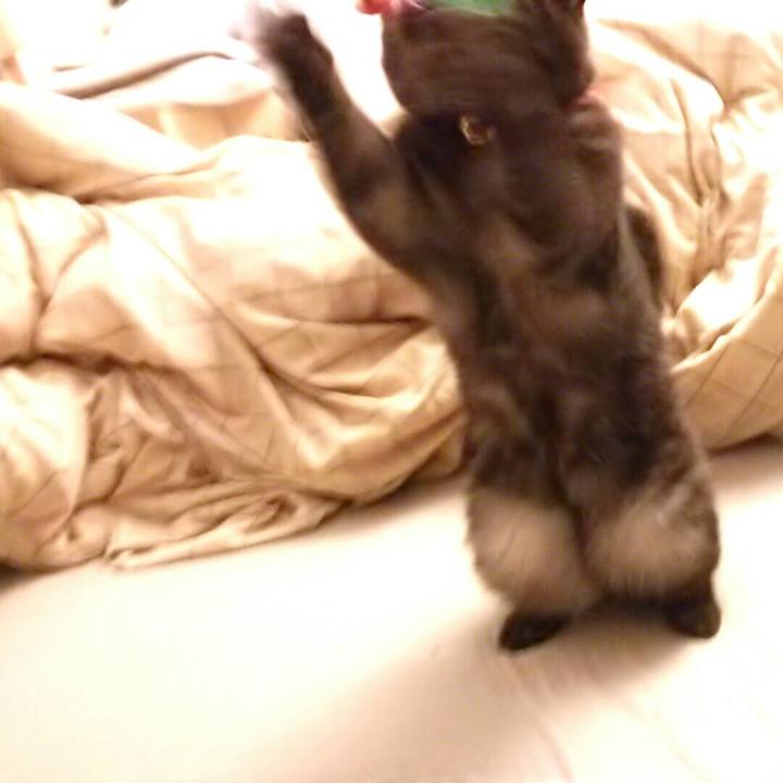 452a371e c41b 4939 942a 4409bbb1135e