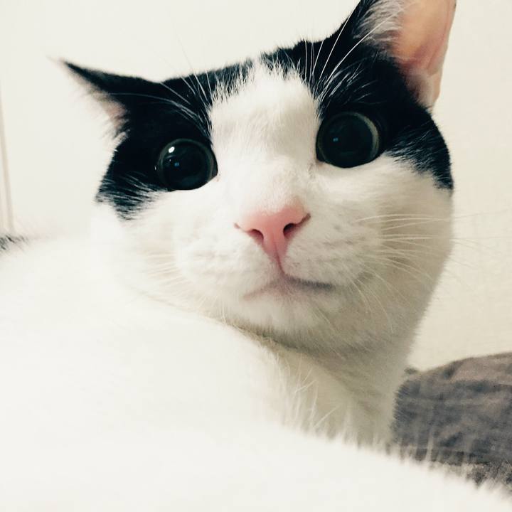 452a6cca 2707 4ce6 9abf 5da431d107cb