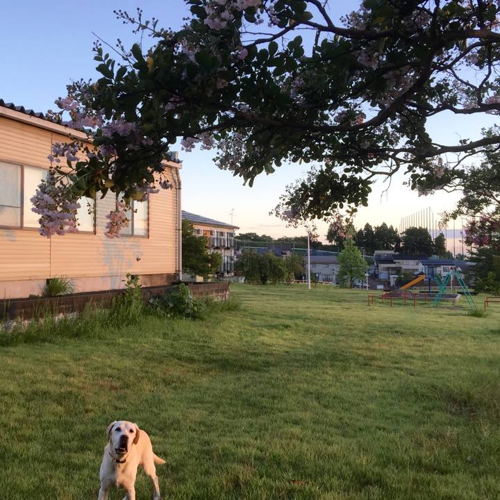 452a7176 f99e 4081 bdec 0c329bb168fe